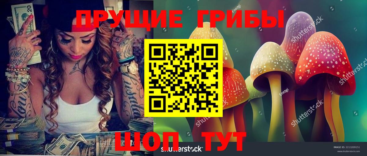 Владимир  Псилоцибиновые грибы MAGIC MUSHROOMS  дарнет шоп  Галлюциногенные грибы ЛСД  Вход с VPN 