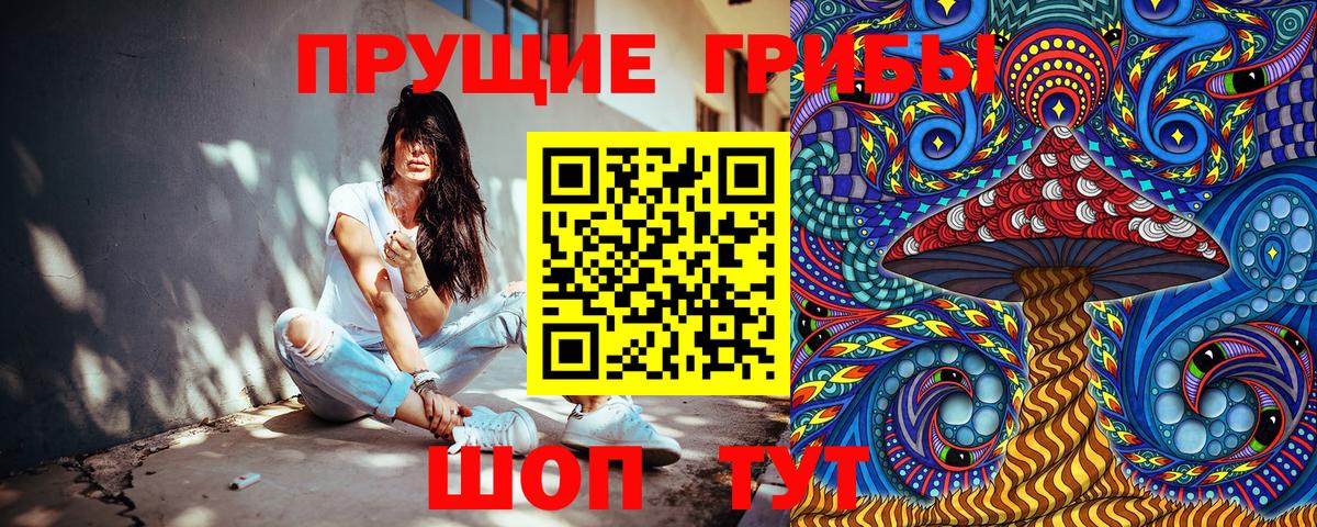 Псилоцибиновые грибы Psilocybine cubensis Владимир